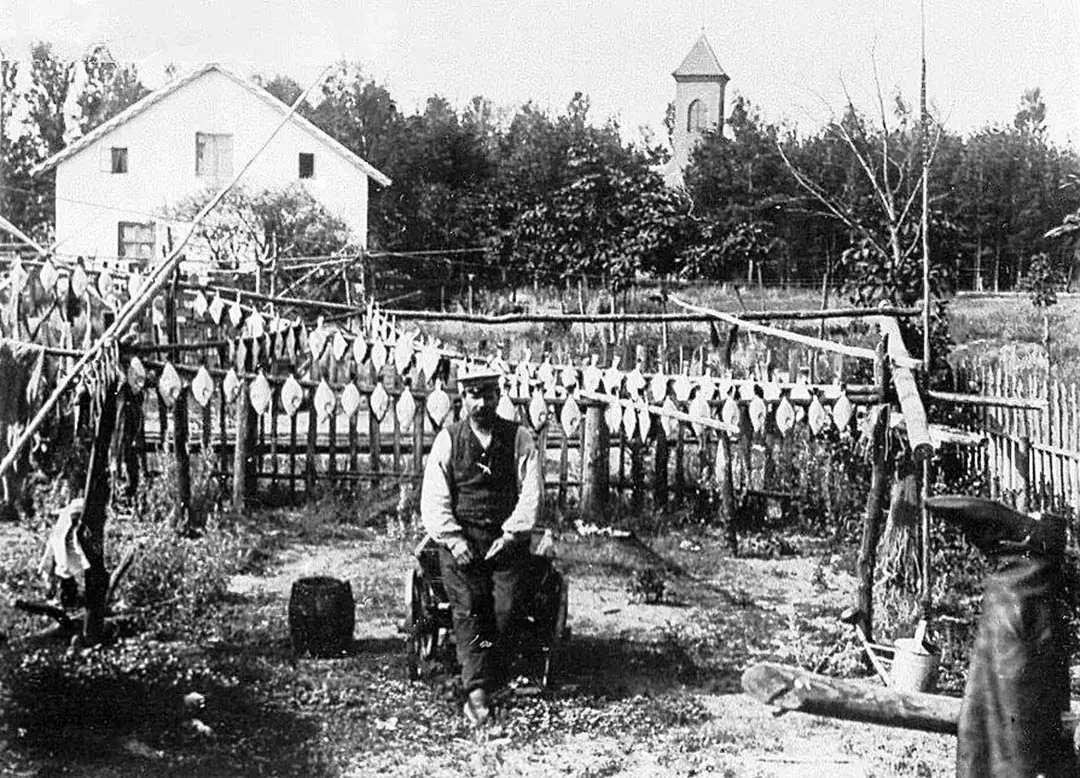 Lesnojus (Sarkau)