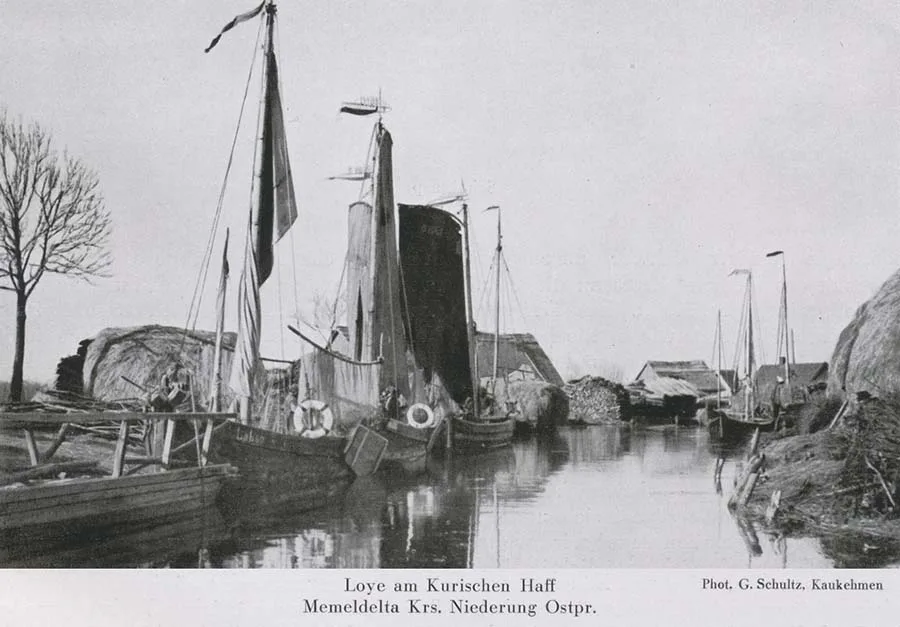 Kurenkähne in Loye