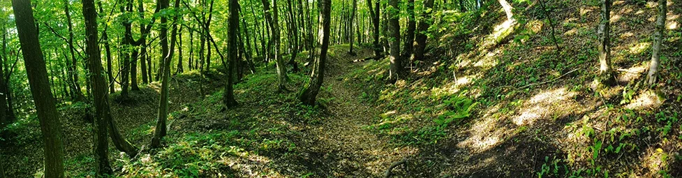 Panorama der Wälle des prußischen Burgwalls Groß Hausen