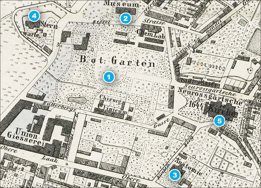 Neuer Roßgarten