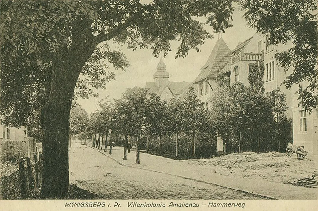 Amalienau. Miestas sodas šalia miesto tvirtovės